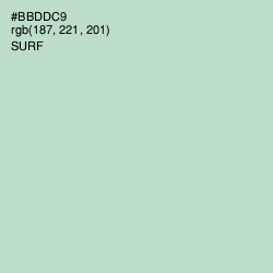 #BBDDC9 - Surf Color Image