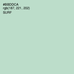 #BBDDCA - Surf Color Image