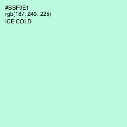 #BBF9E1 - Ice Cold Color Image