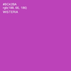 #BC42BA - Wisteria Color Image