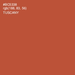 #BC5338 - Tuscany Color Image