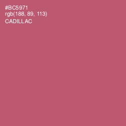 #BC5971 - Cadillac Color Image