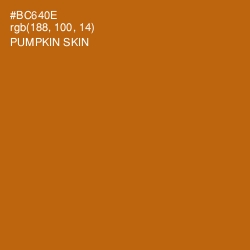 #BC640E - Pumpkin Skin Color Image