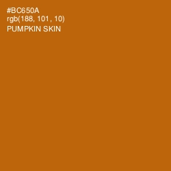 #BC650A - Pumpkin Skin Color Image