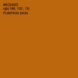 #BC660D - Pumpkin Skin Color Image