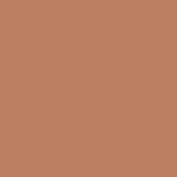 #BC8061 - Teak Color Image