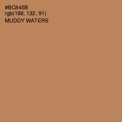 #BC845B - Muddy Waters Color Image