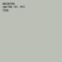 #BCBFB5 - Tide Color Image