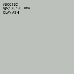 #BCC1BC - Clay Ash Color Image