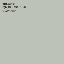 #BCC2B8 - Clay Ash Color Image