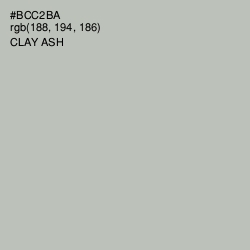 #BCC2BA - Clay Ash Color Image