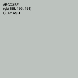 #BCC3BF - Clay Ash Color Image