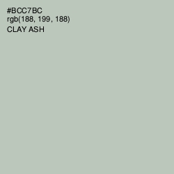 #BCC7BC - Clay Ash Color Image