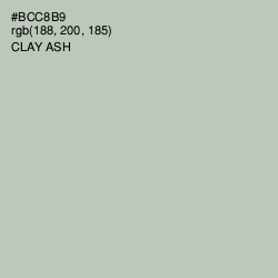 #BCC8B9 - Clay Ash Color Image