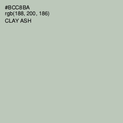 #BCC8BA - Clay Ash Color Image