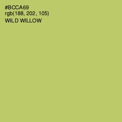 #BCCA69 - Wild Willow Color Image