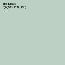 #BCD0C3 - Surf Color Image