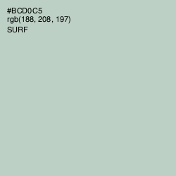 #BCD0C5 - Surf Color Image