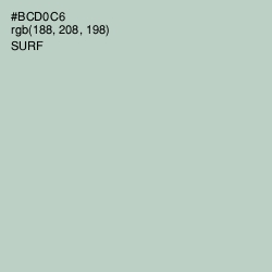 #BCD0C6 - Surf Color Image