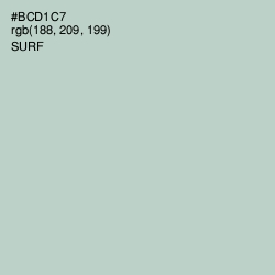 #BCD1C7 - Surf Color Image