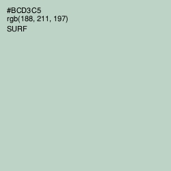 #BCD3C5 - Surf Color Image