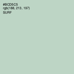 #BCD5C5 - Surf Color Image