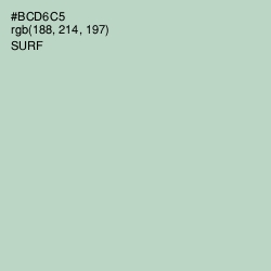 #BCD6C5 - Surf Color Image