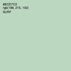 #BCD7C0 - Surf Color Image