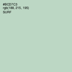 #BCD7C3 - Surf Color Image