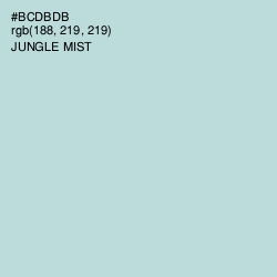 #BCDBDB - Jungle Mist Color Image