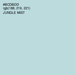 #BCDBDD - Jungle Mist Color Image