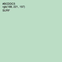 #BCDDC5 - Surf Color Image