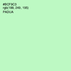 #BCF9C3 - Padua Color Image