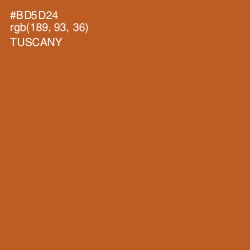 #BD5D24 - Tuscany Color Image