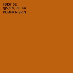 #BD610E - Pumpkin Skin Color Image