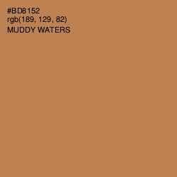 #BD8152 - Muddy Waters Color Image