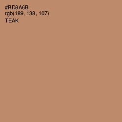 #BD8A6B - Teak Color Image