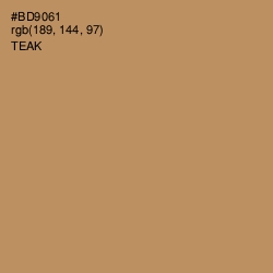 #BD9061 - Teak Color Image