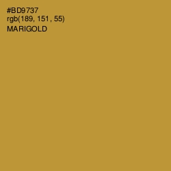 #BD9737 - Marigold Color Image