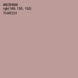 #BD9B98 - Thatch Color Image