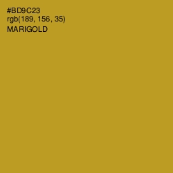 #BD9C23 - Marigold Color Image