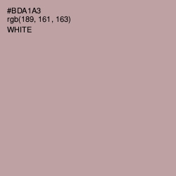 #BDA1A3 - Nomad Color Image