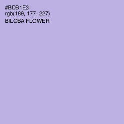 #BDB1E3 - Biloba Flower Color Image