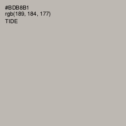 #BDB8B1 - Tide Color Image