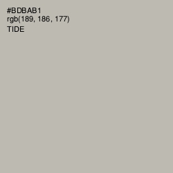 #BDBAB1 - Tide Color Image