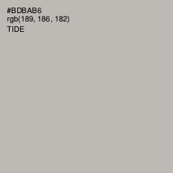 #BDBAB6 - Tide Color Image