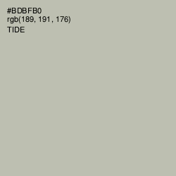 #BDBFB0 - Tide Color Image