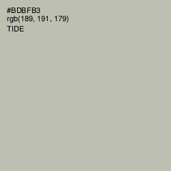 #BDBFB3 - Tide Color Image