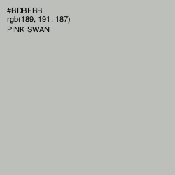 #BDBFBB - Pink Swan Color Image