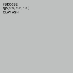 #BDC0BE - Clay Ash Color Image
